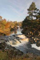 07-3783 Low Force Waterfall in Autumn River Tees Teesdale County Durham